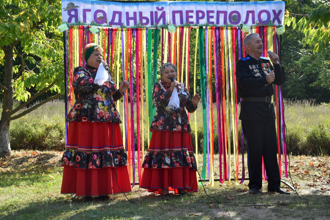 Село садки